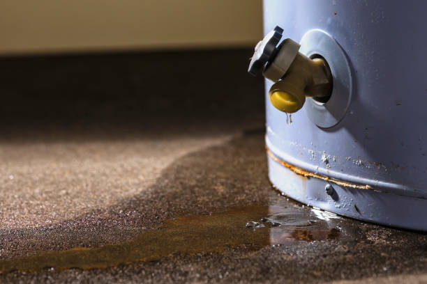 Best Carpet water damage restoration  in Pelican Marsh, FL
