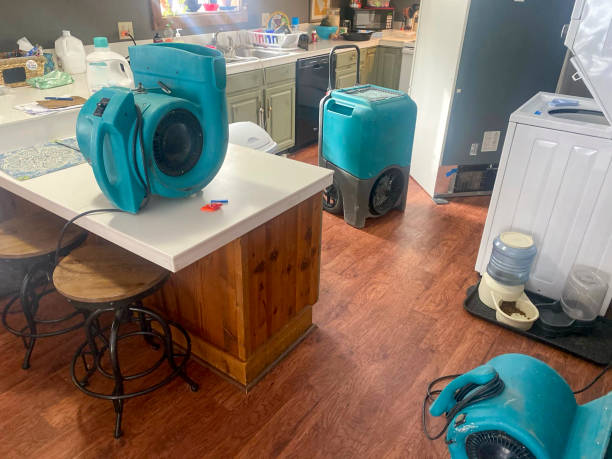 Best Ceiling water damage repair  in Pelican Marsh, FL