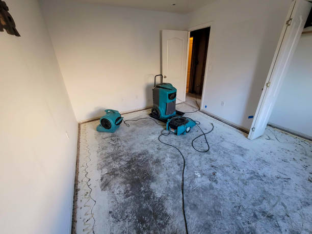 Best Water damage restoration company  in Pelican Marsh, FL