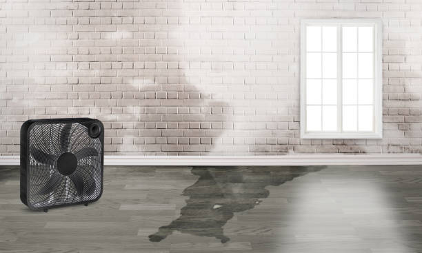 Best Sewage cleanup and water damage restoration  in Pelican Marsh, FL