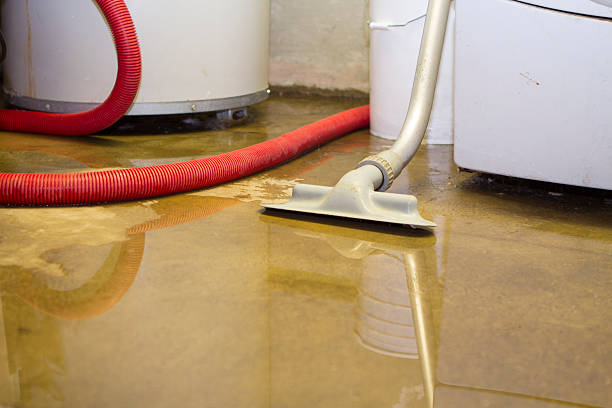 Best Ceiling water damage repair  in Pelican Marsh, FL