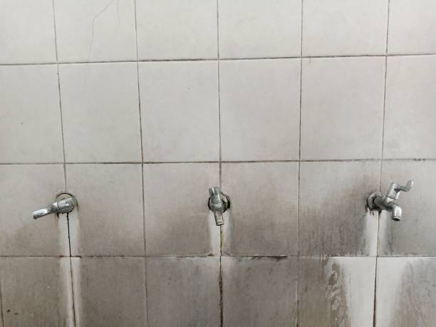 Best 24/7 water damage repair  in Pelican Marsh, FL