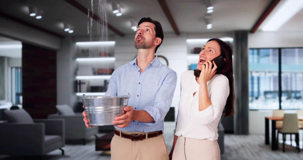 Best 24-hour water damage restoration  in Pelican Marsh, FL